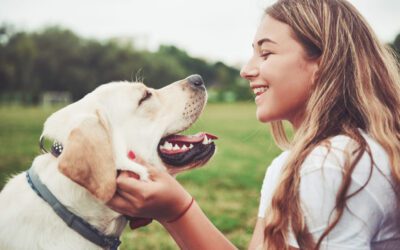 5 WAYS TO ENCOURAGE POSITIVE BEHAVIOR IN YOUR DOG